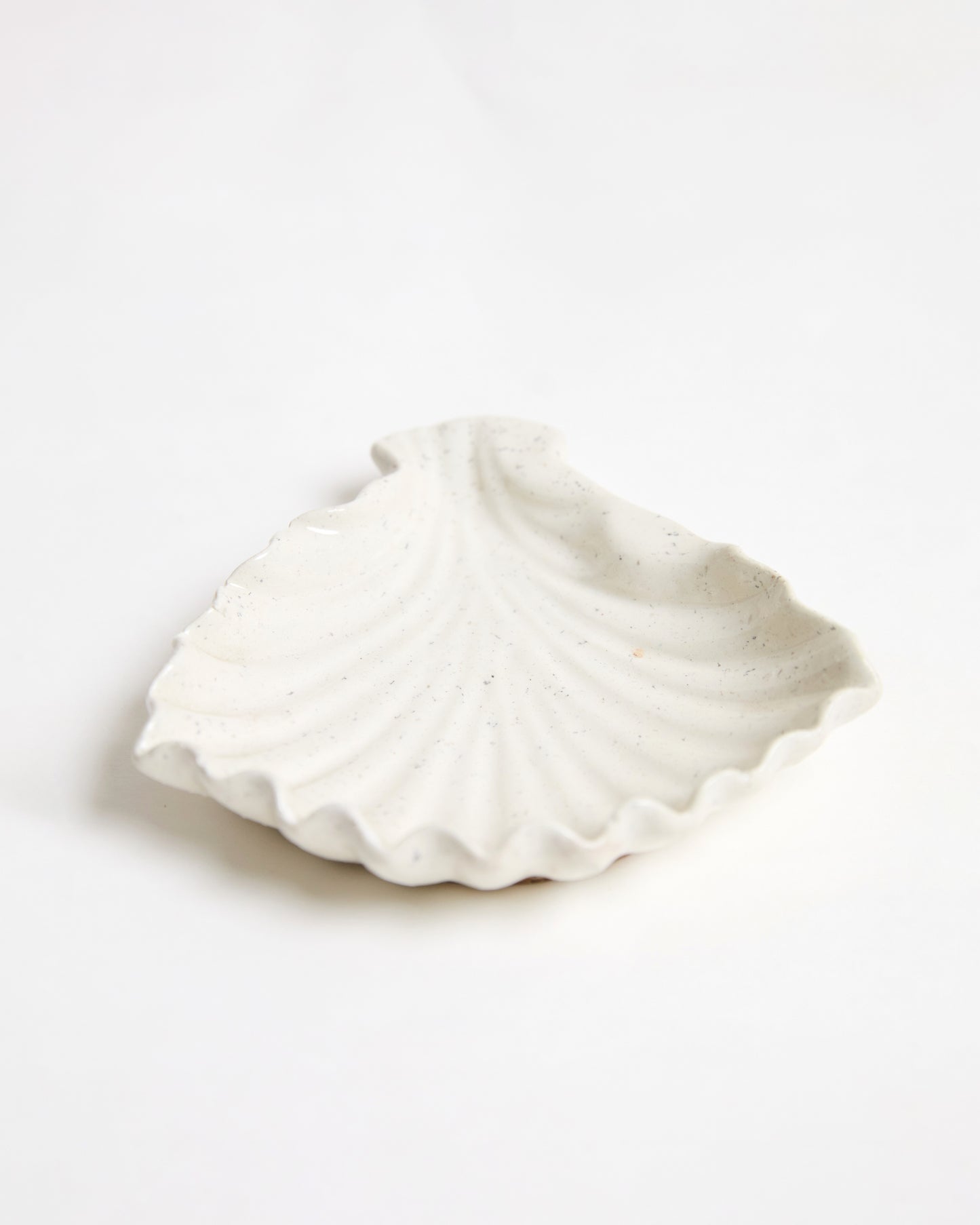 Shell Trinket Tray