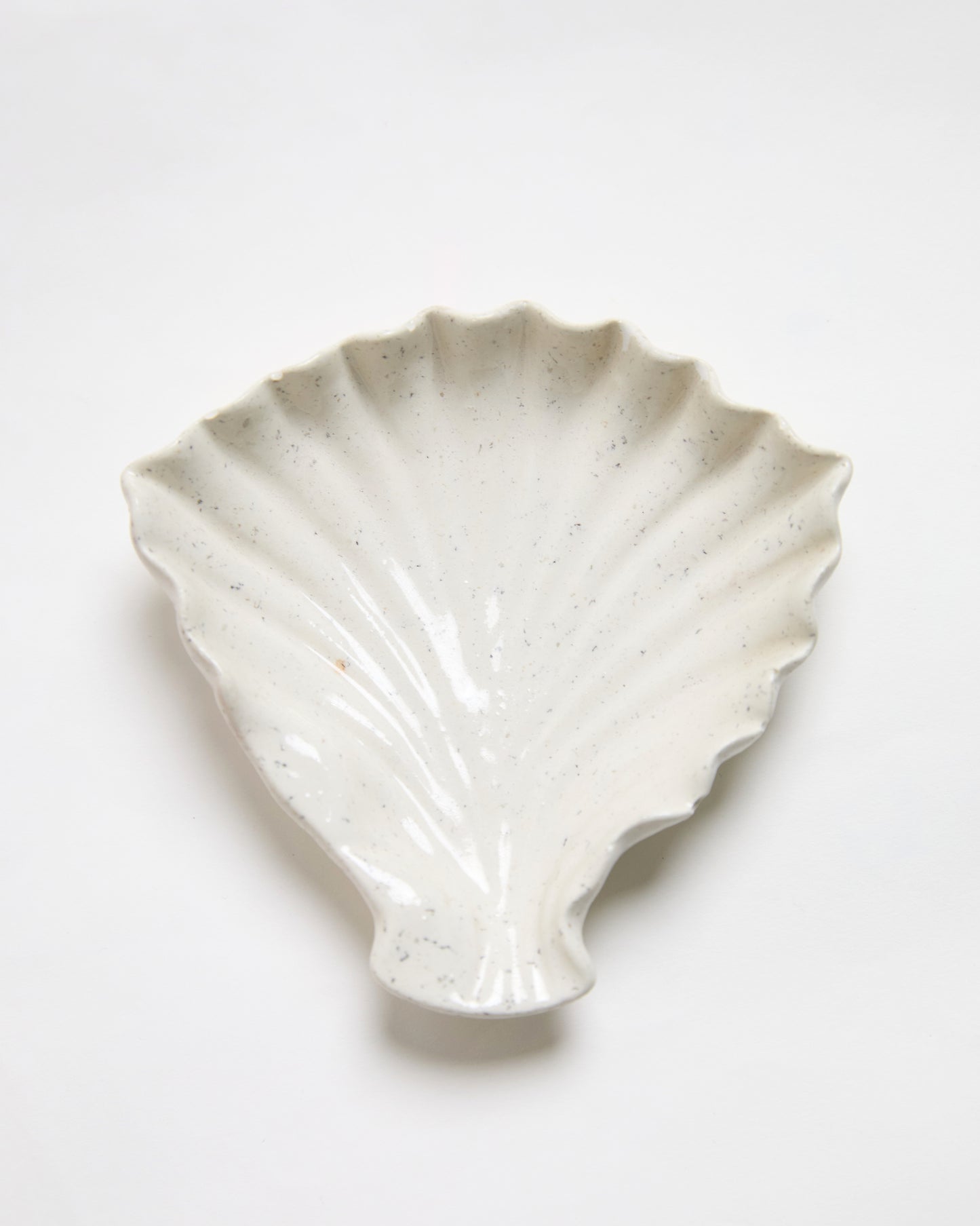 Shell Trinket Tray